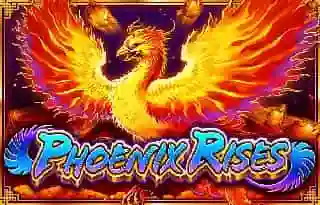 RTP live PhoenixRises