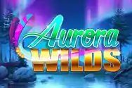 RTP live Aurora-Wilds-min