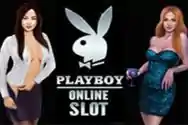 RTP live Playboy