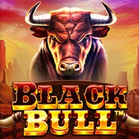 RTP live blackbull