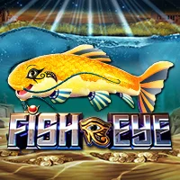 RTP live fisheye
