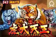 RTP live Tiger-Warrior
